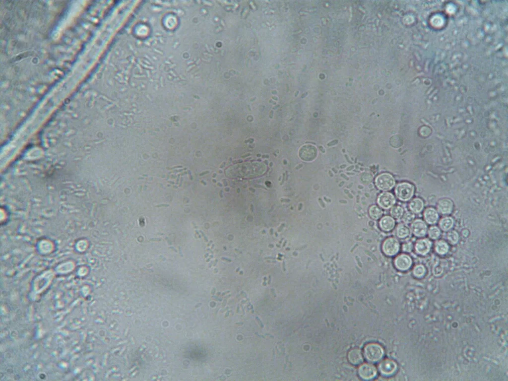 Metal Structure Microscopic View